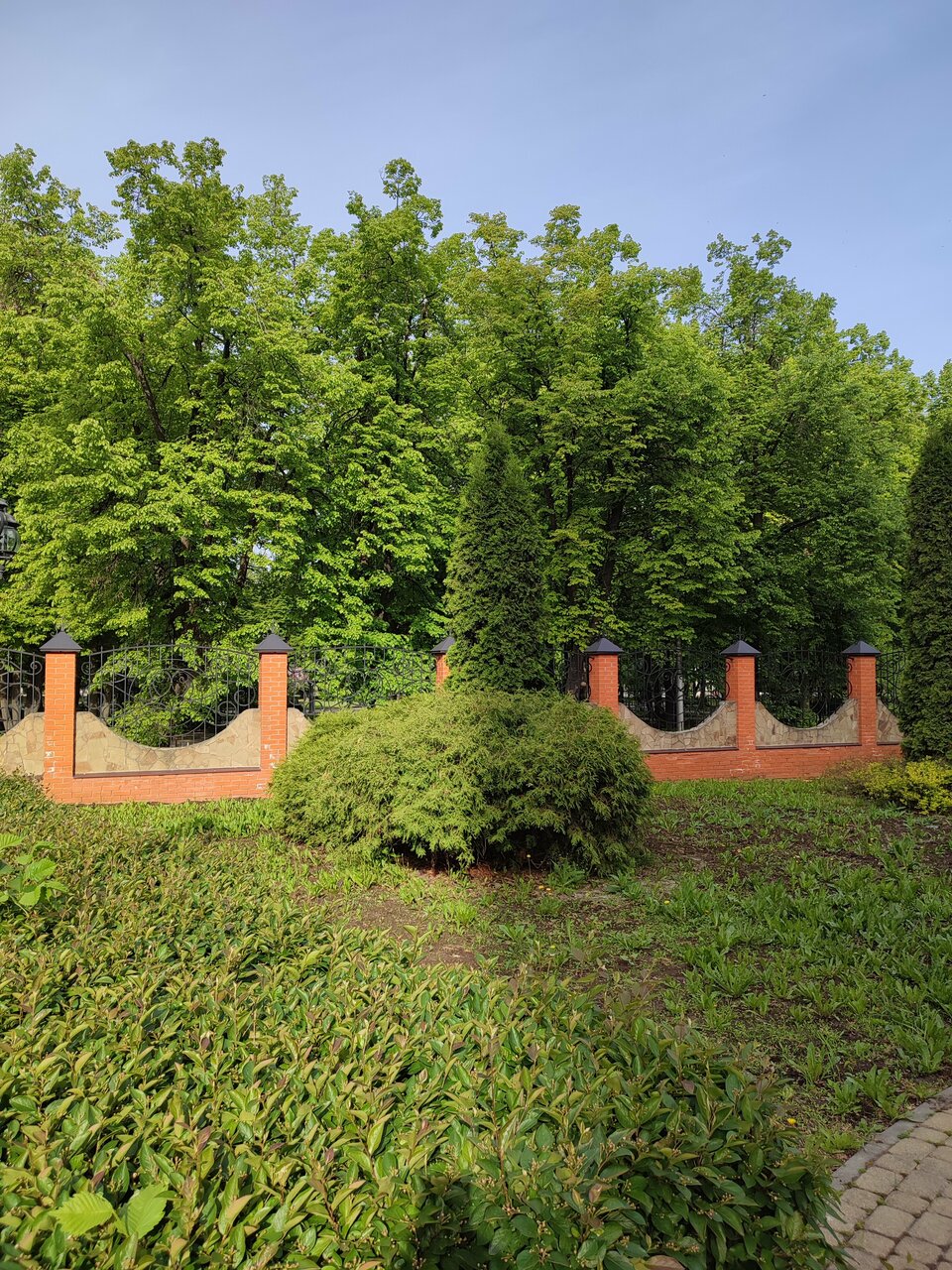 Гостиница Форум Рязань-244