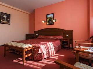 Гостиница Конгресс Отель Форум Рязань Улучшенный двухместный номер с 1 кроватью или 2 отдельными кроватями-1